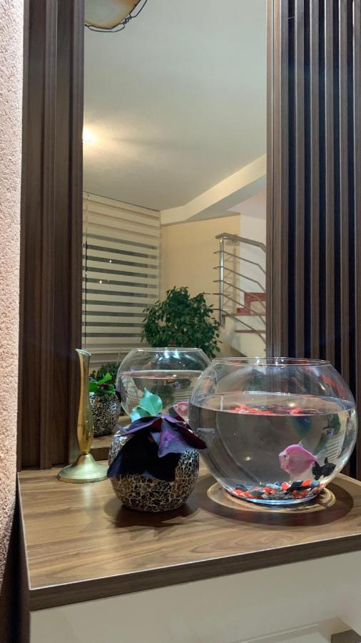 Guest House Nuhii أولتْسي المظهر الخارجي الصورة